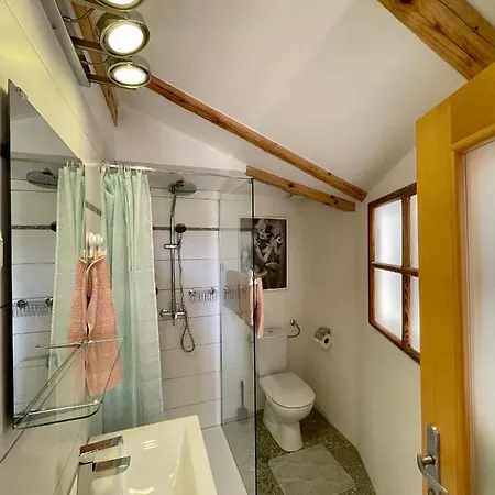 Daire Mini Loft Close To Logar Valley Recica ob Savinji